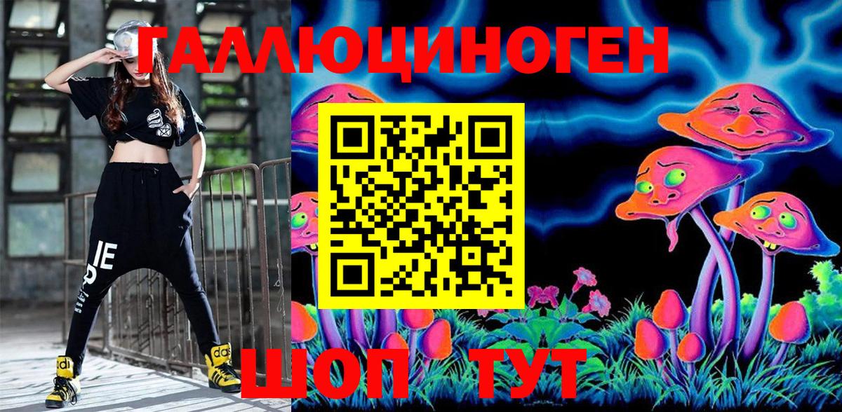 Галлюциногенные грибы Psilocybe Долгопрудный